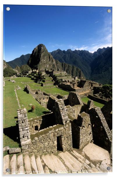 Inca Houses and Main Square in Machu Picchu Peru Acrylic by James Brunker