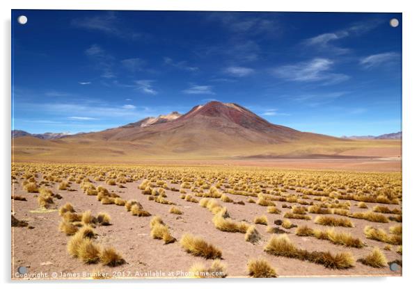 El Tatio volcano Atacama Desert Chile Acrylic by James Brunker