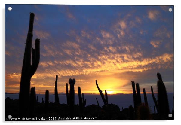 Cacti at Sunset on Incahuasi Island Salar de Uyuni Acrylic by James Brunker