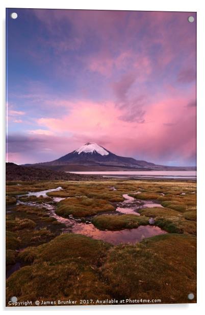 Parinacota Volcano Lauca National Park Chile Acrylic by James Brunker