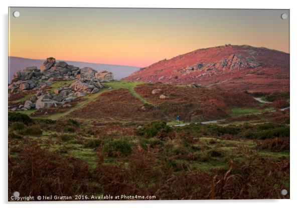 Bonehill Rocks and Bell Tor, Dartmoor Acrylic by Nymm Gratton