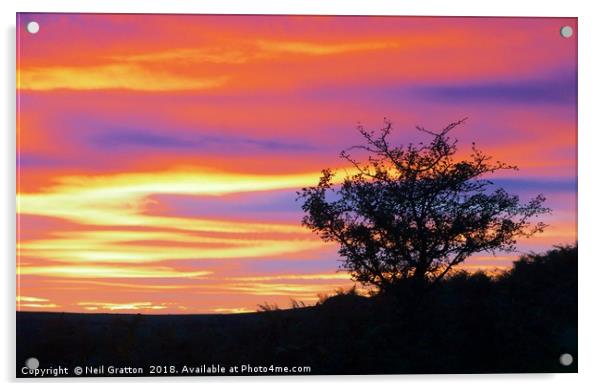 Sunset at Bonehill Rocks Acrylic by Nymm Gratton