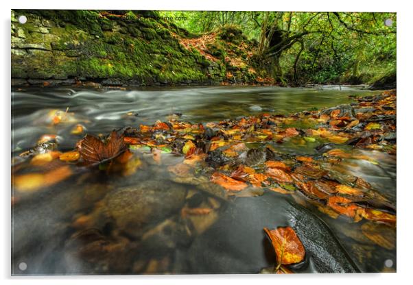 Autumn Stream  Acrylic by Neil Holman