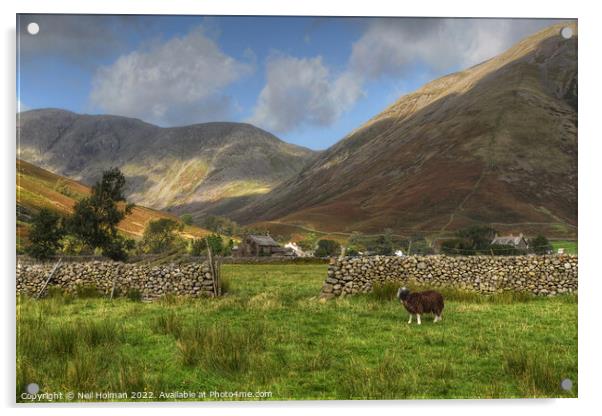Wasdale in the Lake District  Acrylic by Neil Holman
