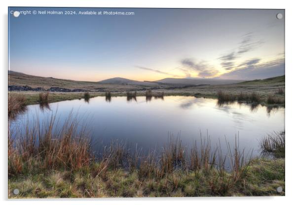 Pool above Ystradfellte at first light. Acrylic by Neil Holman