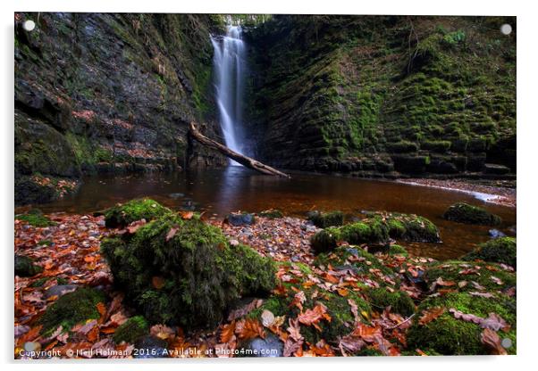 Autumn at Sgwd Einion Gam Waterfall, Brecon Beacon Acrylic by Neil Holman