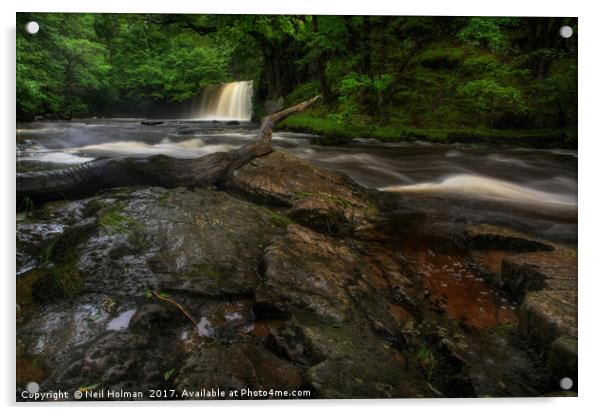 Sgwd Ddwli Isaf, Waterfall Brecon Beacons Acrylic by Neil Holman