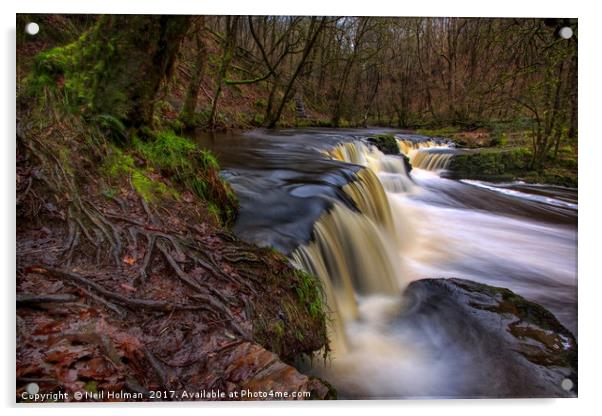 Pontneddfechan Waterfall  Acrylic by Neil Holman