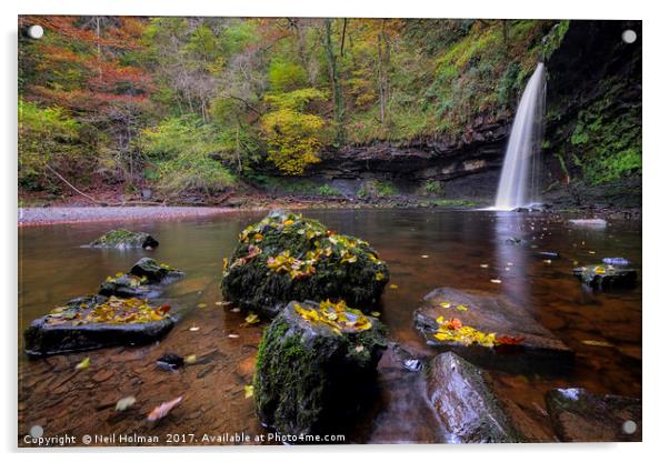 Autumn at Sgwd Gwladus Waterfall  Acrylic by Neil Holman