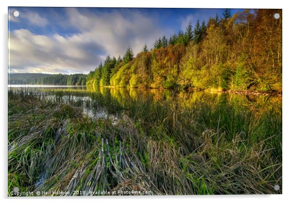Cantref Reservoir, Brecon Beacon  Acrylic by Neil Holman