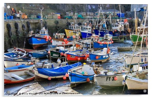 Mevagissey Harbour, Cornwall at  Low Tide Acrylic by Elvia Worrall