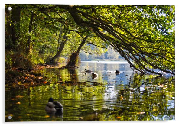 Peaceful Summer Lake Acrylic by Simon Annable