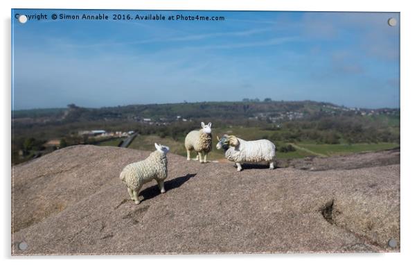 Derbyshire Sheep Acrylic by Simon Annable