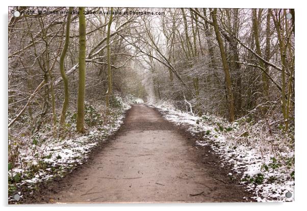 Winter Trail Acrylic by Simon Annable