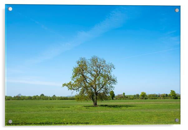 Lone Tree Acrylic by Simon Annable