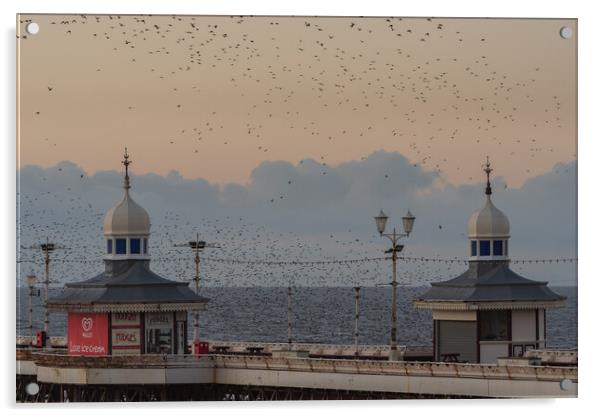 Blackpool North Pier Starlings  Acrylic by Caroline James