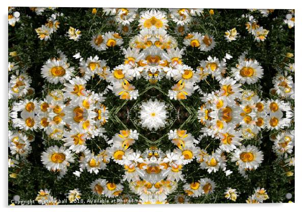 Kaleidoscope Daisies Pattern Acrylic by steve ball