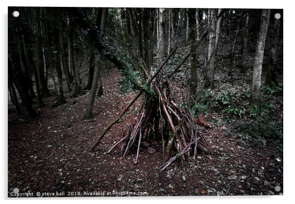 Forest shelter Acrylic by steve ball