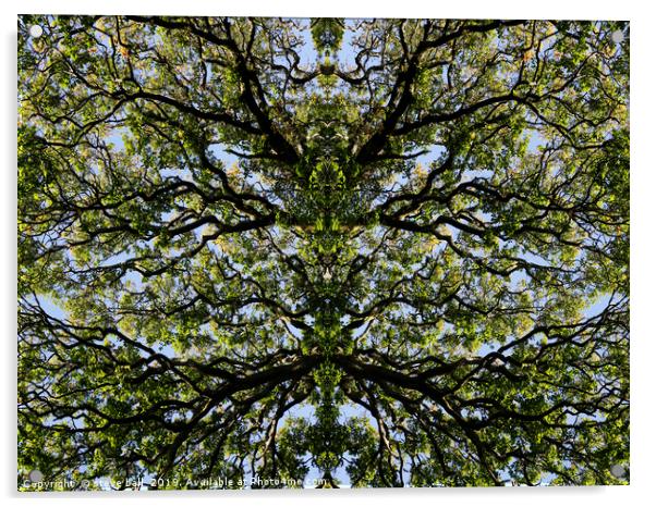 Mirror image trees Acrylic by steve ball