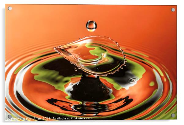 water drop Acrylic by Paul Allen