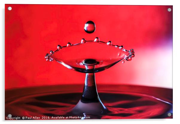 water drop Acrylic by Paul Allen
