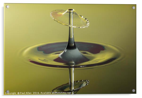 water drop and reflection Acrylic by Paul Allen
