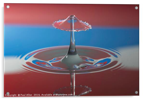 water drop collision in red white and blue Acrylic by Paul Allen
