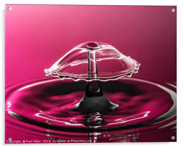 water drop collision in purple Acrylic by Paul Allen