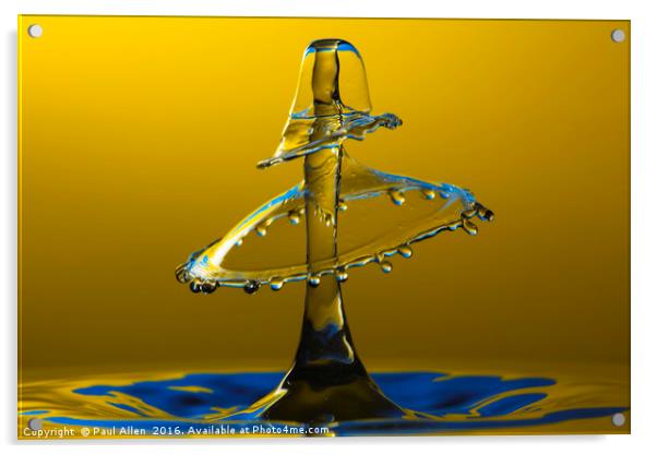 A double water drop collision Acrylic by Paul Allen