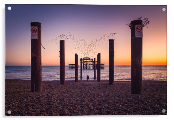 Brighton Starlings Murmuration Acrylic by Pablo Rodriguez