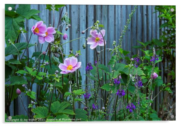 A flower border in late summer Acrylic by Joy Walker