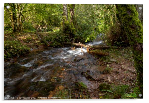 A small river in a woodland with the sunlight on the water Acrylic by Joy Walker