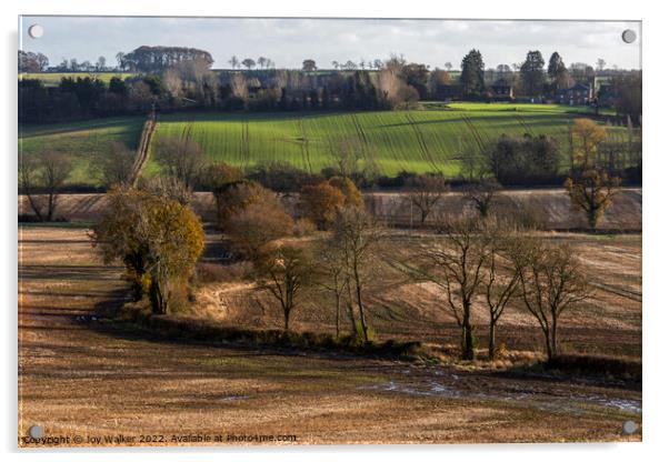 Rural landscape, Northamptonshire, England, UK Acrylic by Joy Walker