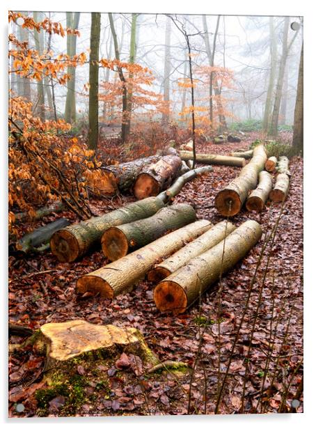 Logs lying on the ground in a woodland winter scene Acrylic by Joy Walker