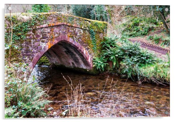 Ancient bridge Acrylic by Joy Walker