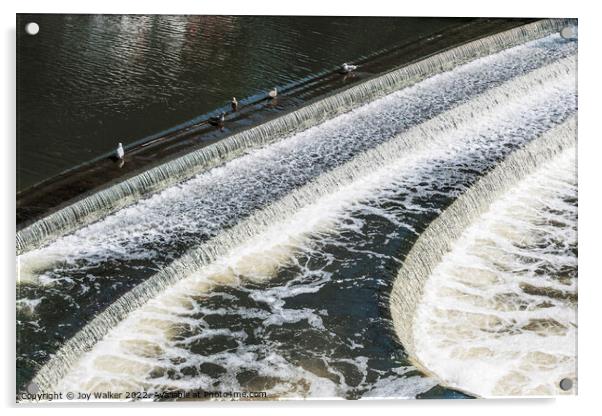 Bath Weir on the river Avon, Somerset, UK Acrylic by Joy Walker