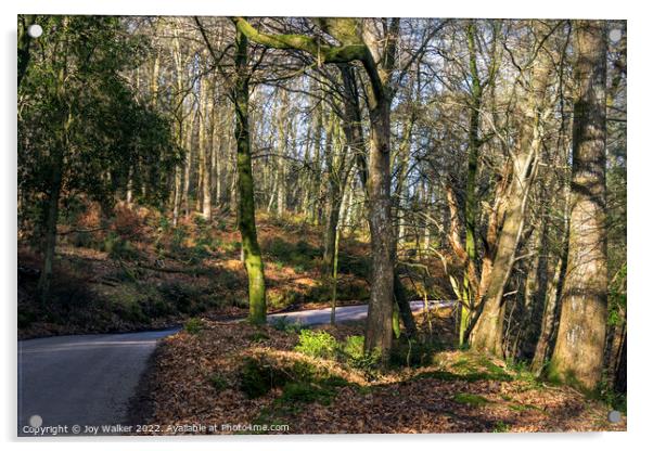 Woodland towards Exmoor, Devon, UK Acrylic by Joy Walker