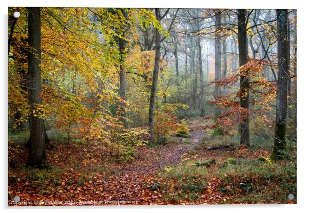 A woodland in the Autumn Acrylic by Joy Walker