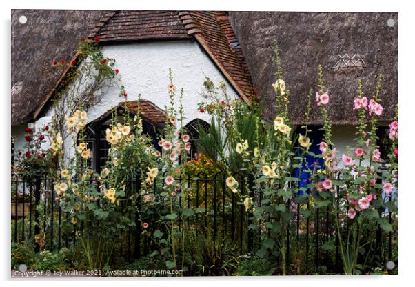 A thatched cottage with Hollyhock flowers Acrylic by Joy Walker