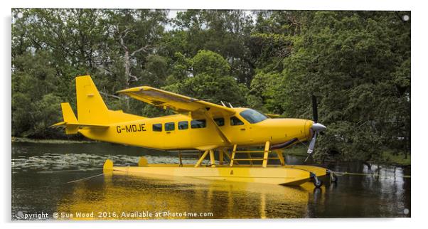 CESSNA SEAPLANE YELLOW Acrylic by Sue Wood