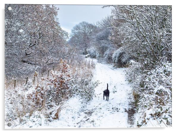 A winter dog walk.  Acrylic by Ros Crosland