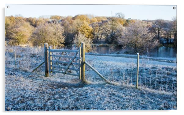 Early morning frost in the Yorkshire Countryside Acrylic by Ros Crosland