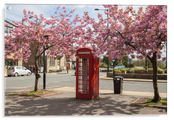 Spring Cherry Blossom around a Phone Box.  Acrylic by Ros Crosland