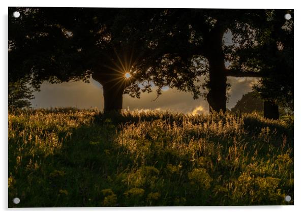 Evening Sunlight in Baildon, Yorkshire.  Acrylic by Ros Crosland