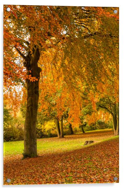 Autumn Colour Acrylic by Ros Crosland