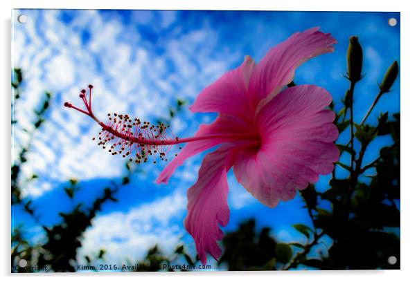 Princess flower.  Acrylic by Liam Kimm