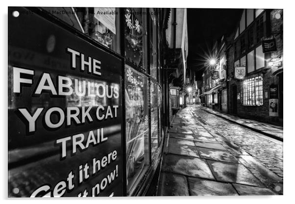 The Shambles, York : 07 of 07 Images (B&W) Acrylic by Phil MacDonald