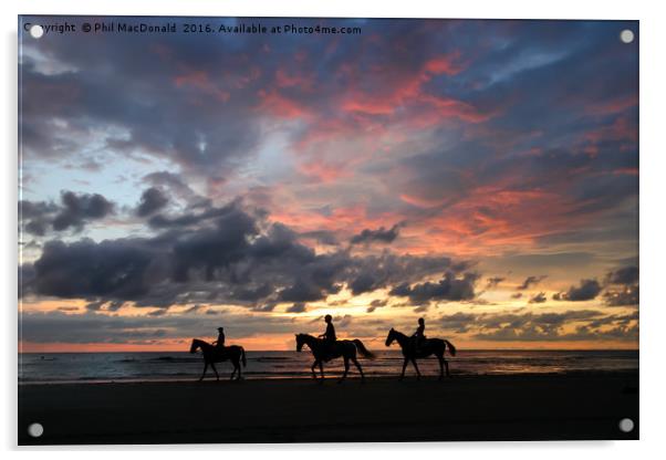 Pantai Dalit beach in Borneo, Sunset Horse Riders Acrylic by Phil MacDonald