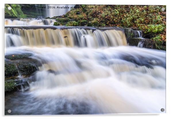 Scaleber Force Waterfall in Autumn in full flow Acrylic by Phil MacDonald