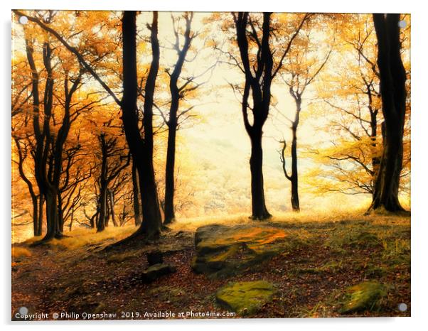 misty morning autumn forest sunrise in calderdale Acrylic by Philip Openshaw